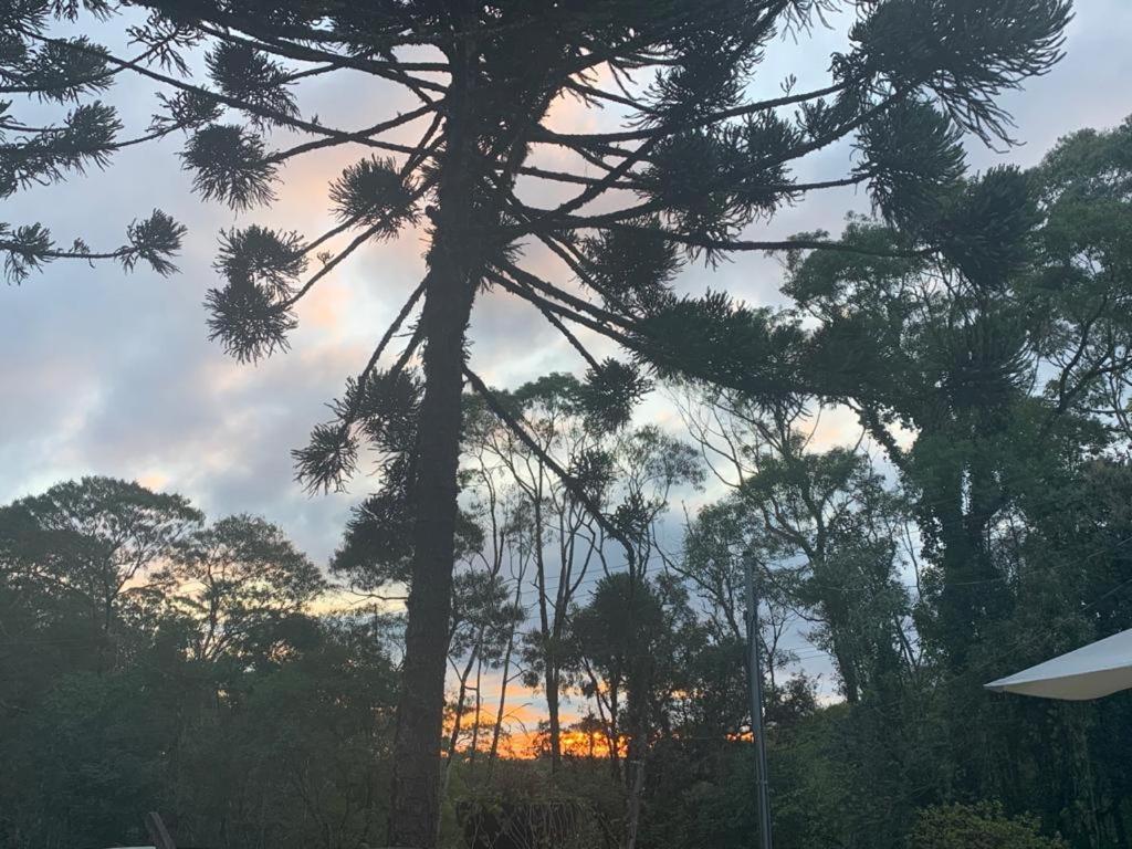 Casa De Campo Em Gramado Eksteriør billede